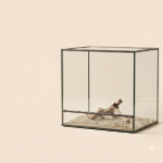 Terrarium και Εξοπλισμός