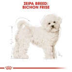 ROYAL CANIN BICHON FRISE ADULT DOG 1.5kg