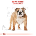 ROYAL CANIN BULLDOG ADULT DOG 3kg