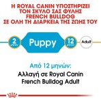 ROYAL CANIN FRENCH BULLDOG PUPPY DOG 3kg