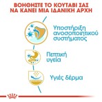 ROYAL CANIN FRENCH BULLDOG PUPPY DOG 3kg