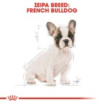 ROYAL CANIN FRENCH BULLDOG PUPPY DOG 3kg