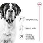ROYAL CANIN ADULT DOG GIANT 15kg