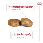 ROYAL CANIN ADULT DOG GIANT 15kg