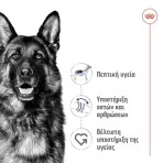 ROYAL CANIN HEALTH NUTRITION ADULT DOG MAXI 15kg