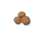 ROYAL CANIN PUPPY DOG MAXI 4kg ROYAL CANIN PUPPY DOG MAXI 4kg