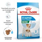 ROYAL CANIN STARTER MOTHER AND BABYDOG MINI 4kg