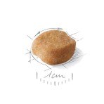 ROYAL CANIN YORKSHIRE TERRIER ADULT DOG 3kg