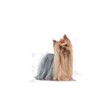 ROYAL CANIN YORKSHIRE TERRIER ADULT DOG 3kg