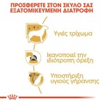 ROYAL CANIN YORKSHIRE TERRIER ADULT DOG 3kg