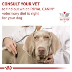 ROYAL CANIN VETRINARY DIET DIABETIC SPECIAL LOW CARBOHYDRATE ADULT DOG LOAF CAN 410GR