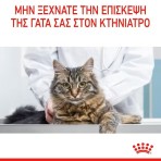 ROYAL CANIN DIGESTIVE CARE ADULT CAT 400gr