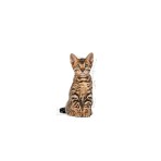 ROYAL CANIN STERILISED KITTEN 400gr ROYAL CANIN STERILISED KITTEN 400gr