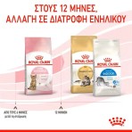 ROYAL CANIN STERILISED KITTEN 400gr ROYAL CANIN STERILISED KITTEN 400gr