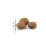 ROYAL CANIN STERILISED 7PLUS ADULT CAT 1.5kg