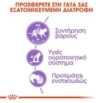 ROYAL CANIN ADULT CAT STERILISED THIN SLICES IN JELLY POUCH 12x85gr