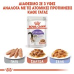 ROYAL CANIN ADULT CAT STERILISED THIN SLICES IN GRAVY POUCH 85gr