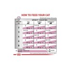 ROYAL CANIN VETERINARY DIET ADULT CAT RENAL BEEF THIN SLICES IN GRAVY POUCH 12x85GR