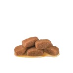 ROYAL CANIN VETERINARY DIET GASTROINTESTINAL FIBRE RESPONSE ADULT CAT CHUNKS IN GRAVY POUCH 12x85gr