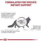 ROYAL CANIN VETERINARY DIET GASTROINTESTINAL FIBRE RESPONSE ADULT CAT CHUNKS IN GRAVY POUCH 12x85gr