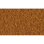 TETRA CICHLID STICKS ΒΑΣΙΚΗ ΤΡΟΦΗ ΓΙΑ ΚΙΧΛΙΔΕΣ 250ml 75gr TETRA CICHLID STICKS ΒΑΣΙΚΗ ΤΡΟΦΗ ΓΙΑ ΚΙΧΛΙΔΕΣ 250ml 75gr