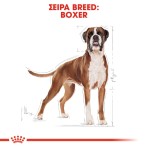 ROYAL CANIN BOXER ADULT DOG 12kg