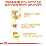 ROYAL CANIN BOXER ADULT DOG 12kg