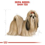 ROYAL CANIN SHIH TZU ADULT DOG 1.5kg