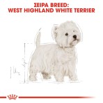 ROYAL CANIN WEST HIGHLAND WHITE TERRIER ADULT DOG 1.5 kg