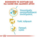 ROYAL CANIN YORKSHIRE TERRIER PUPPY DOG 1.5kg