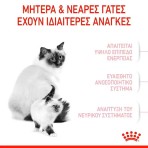 ROYAL CANIN MOTHER AND BABYCAT 2kg