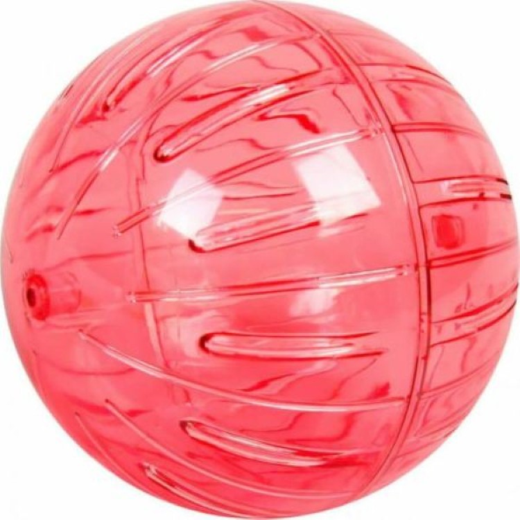 PET CAMELOT ΕΚΠΑΙΔΕΥΤΙΚΗ ΜΠΑΛΑ ΓΙΑ ΧΑΜΣΤΕΡ 14cm PET CAMELOT ΕΚΠΑΙΔΕΥΤΙΚΗ ΜΠΑΛΑ ΓΙΑ ΧΑΜΣΤΕΡ 14cm
