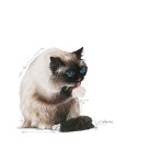 ROYAL CANIN HAIRBALL CARE ADULT CAT 2kg ROYAL CANIN HAIRBALL CARE ADULT CAT 2kg