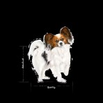 ROYAL CANIN ADULT DOG XSMALL 1,5kg