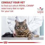 ROYAL CANIN VETERINARY DIET URINARY S/O ADULT CAT 400gr