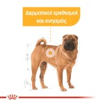ROYAL CANIN DERMACOMFORT ADULT MEDIUM DOG 3kg
