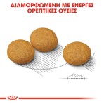 ROYAL CANIN DERMACOMFORT ADULT MEDIUM DOG 3kg