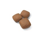 ROYAL CANIN JUNIOR DOG GIANT 15kg