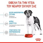ROYAL CANIN JUNIOR DOG GIANT 15kg