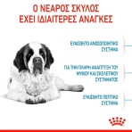 ROYAL CANIN JUNIOR DOG GIANT 15kg