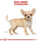 ROYAL CANIN CHIHUAHUA PUPPY DOG 500gr