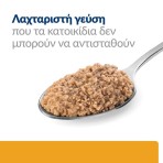 HILL'S PRESCRIPTION C/D MULTICARE URINARY CARE CHICKEN ADULT CAT 156gr