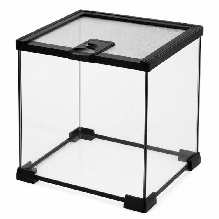 BARBAROUS GROWTH TERRARIUM ΒΤ-02 ΓΥΑΛΙΝΟ ΕΝΥΔΡΕΙΟ ΕΡΠΕΤΩΝ 20x20x20cm