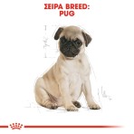 ROYAL CANIN PUG PUPPY DOG 1.5kg