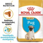 ROYAL CANIN PUG PUPPY DOG 1.5kg