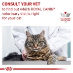 ROYAL CANIN VETERINARY DIET ADULT CAT RENAL BEEF THIN SLICES IN GRAVY POUCH 85GR