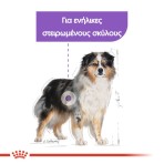 ROYAL CANIN STERILISED MEDIUM ADULT DOG 3kg