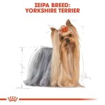 ROYAL CANIN YORKSHIRE TERRIER ADULT DOG PATE POUCH 85gr