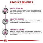 ROYAL CANIN VETERINARY DIET RENAL ADULT CAT 4Kg