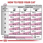 ROYAL CANIN VETERINARY DIET RENAL ADULT CAT 4Kg
